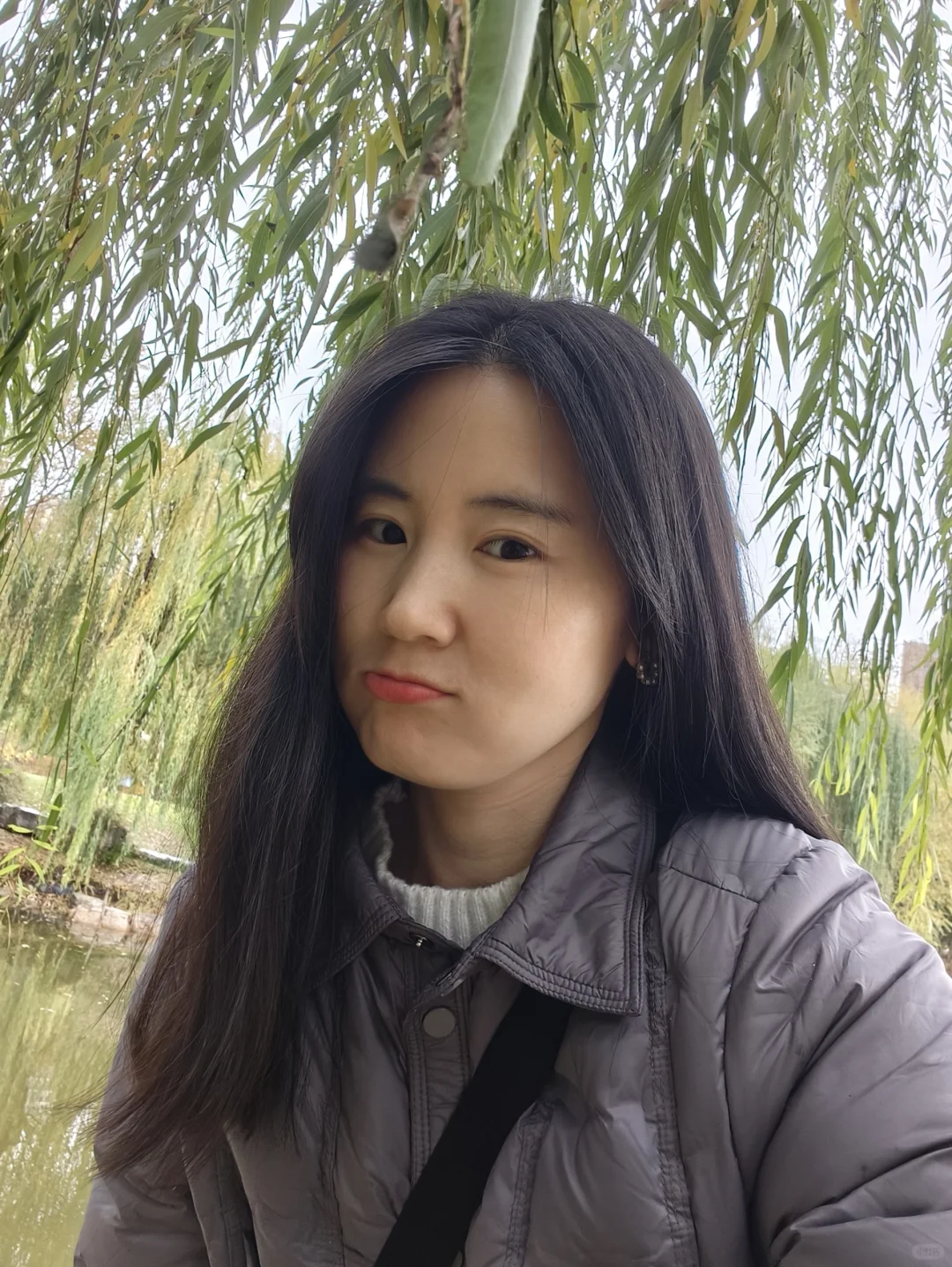 38岁记录|动了吗动了吗
