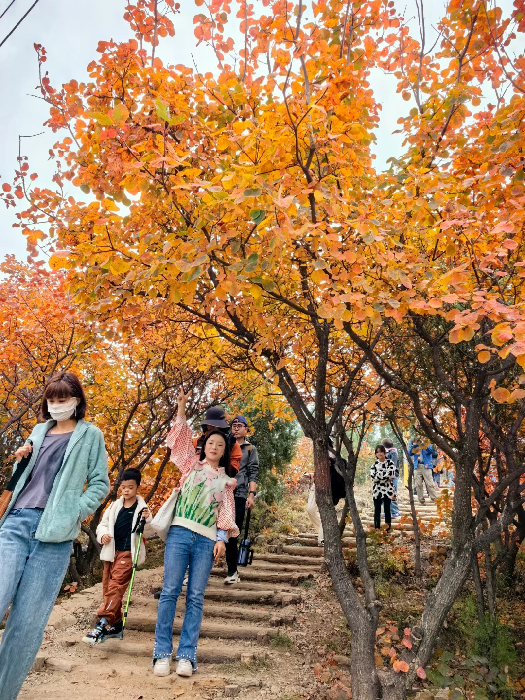 怀念那些自由不羁的日子🚀