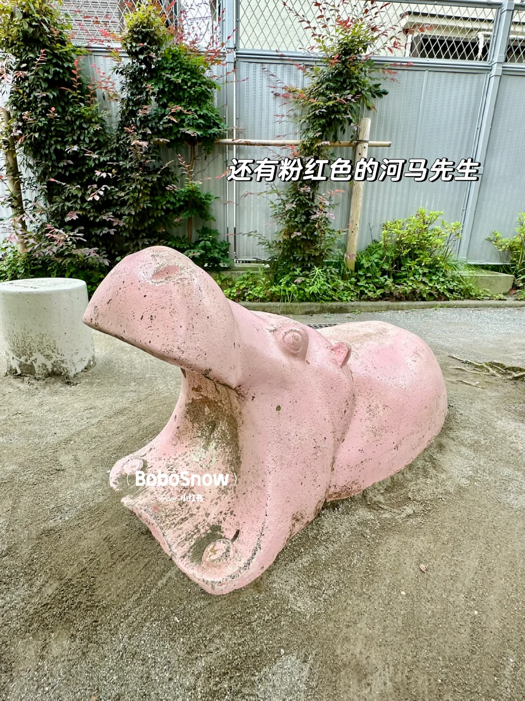 东京行 — 神乐坂散策