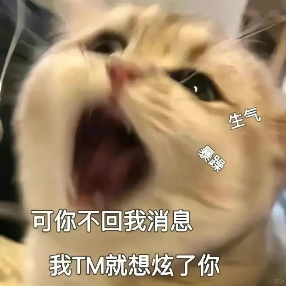 情侣表情包拿捏