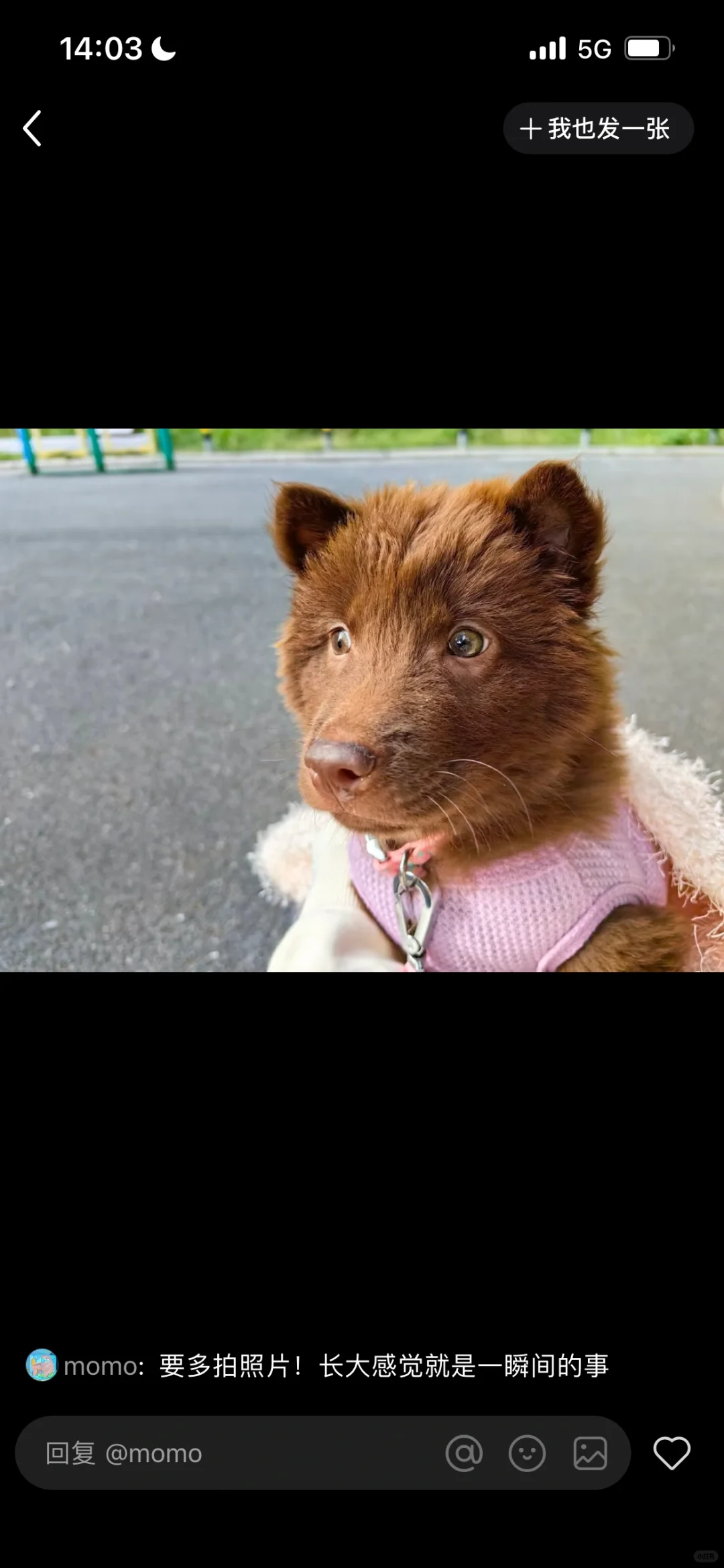 森苷粤菜(小滋补)和美食工厂合作啦