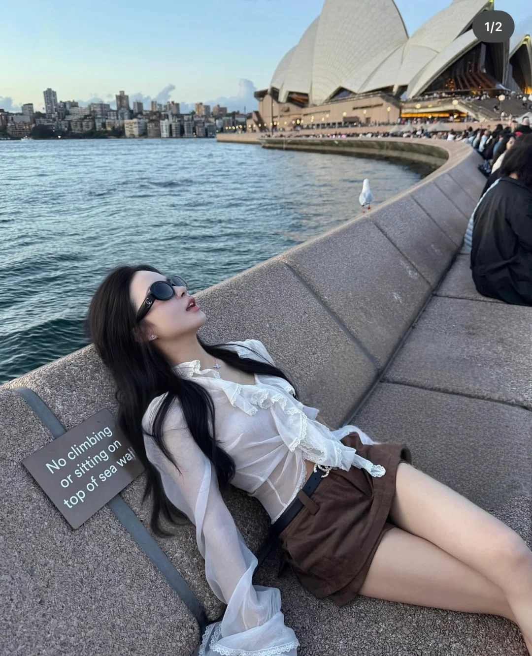 Daily Share—1