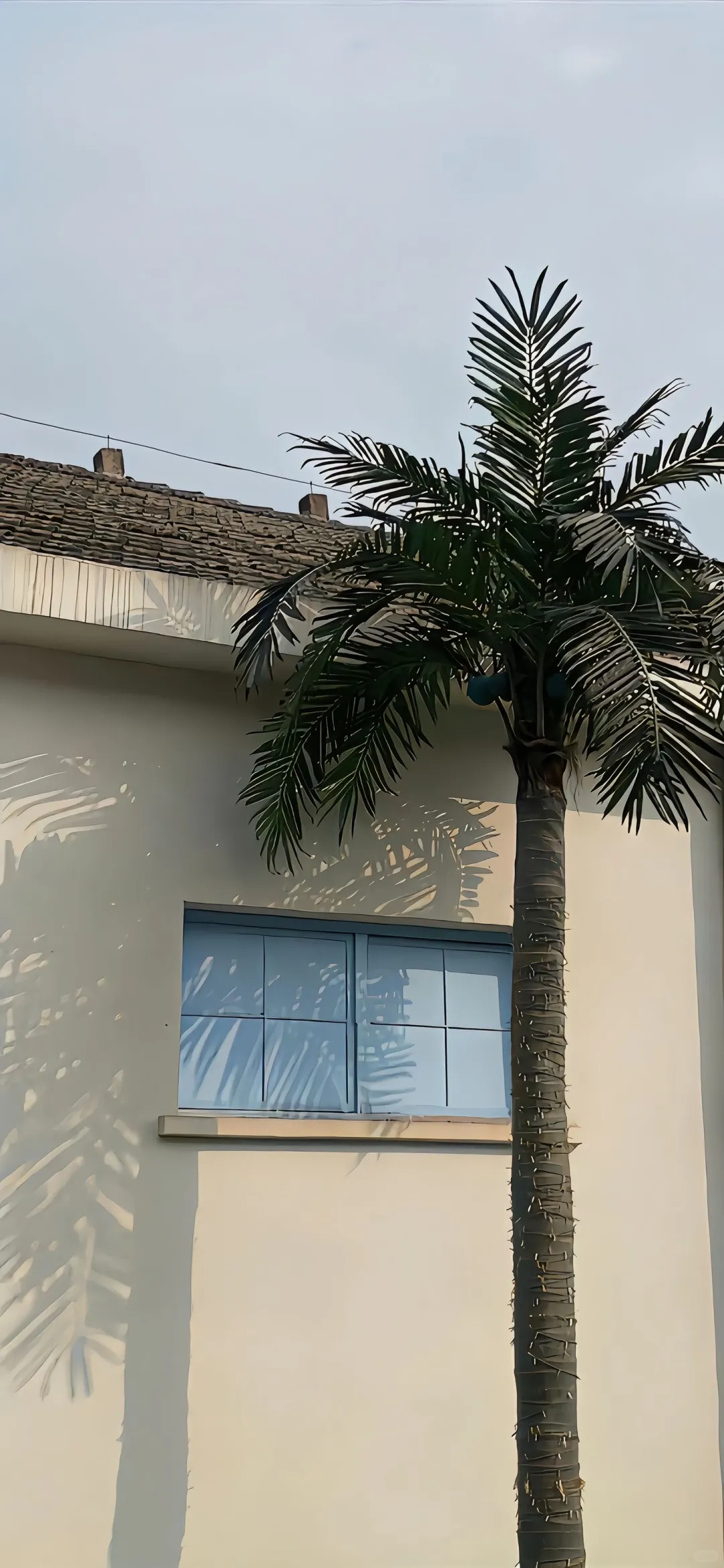 Date25/09/16 | 小众壁纸