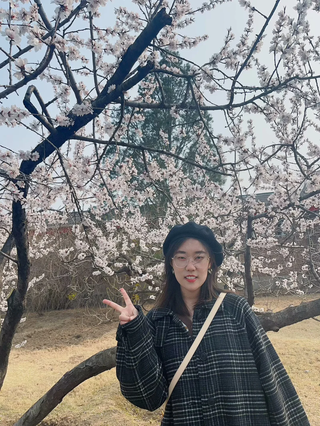 让我脱单呜呜呜