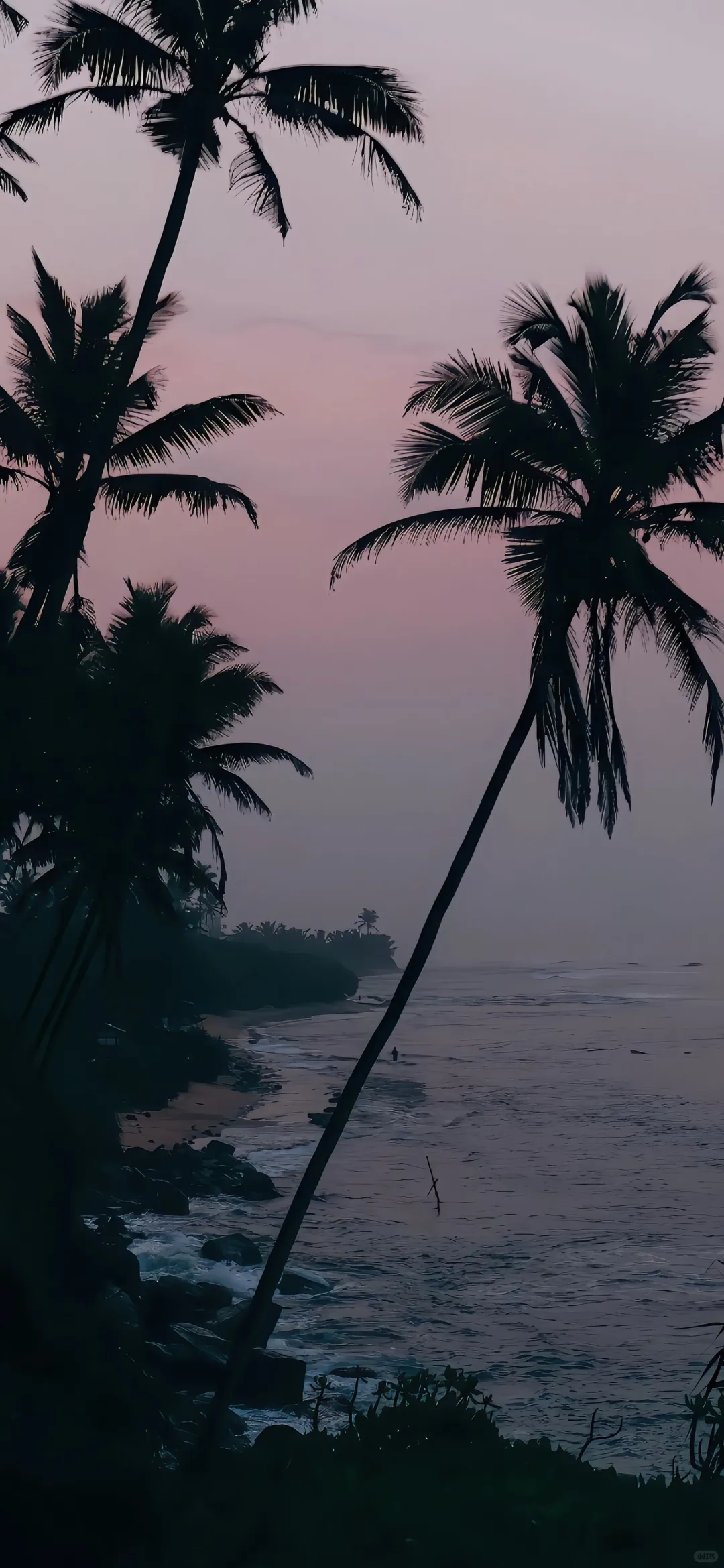 Date25/09/16 | 小众壁纸