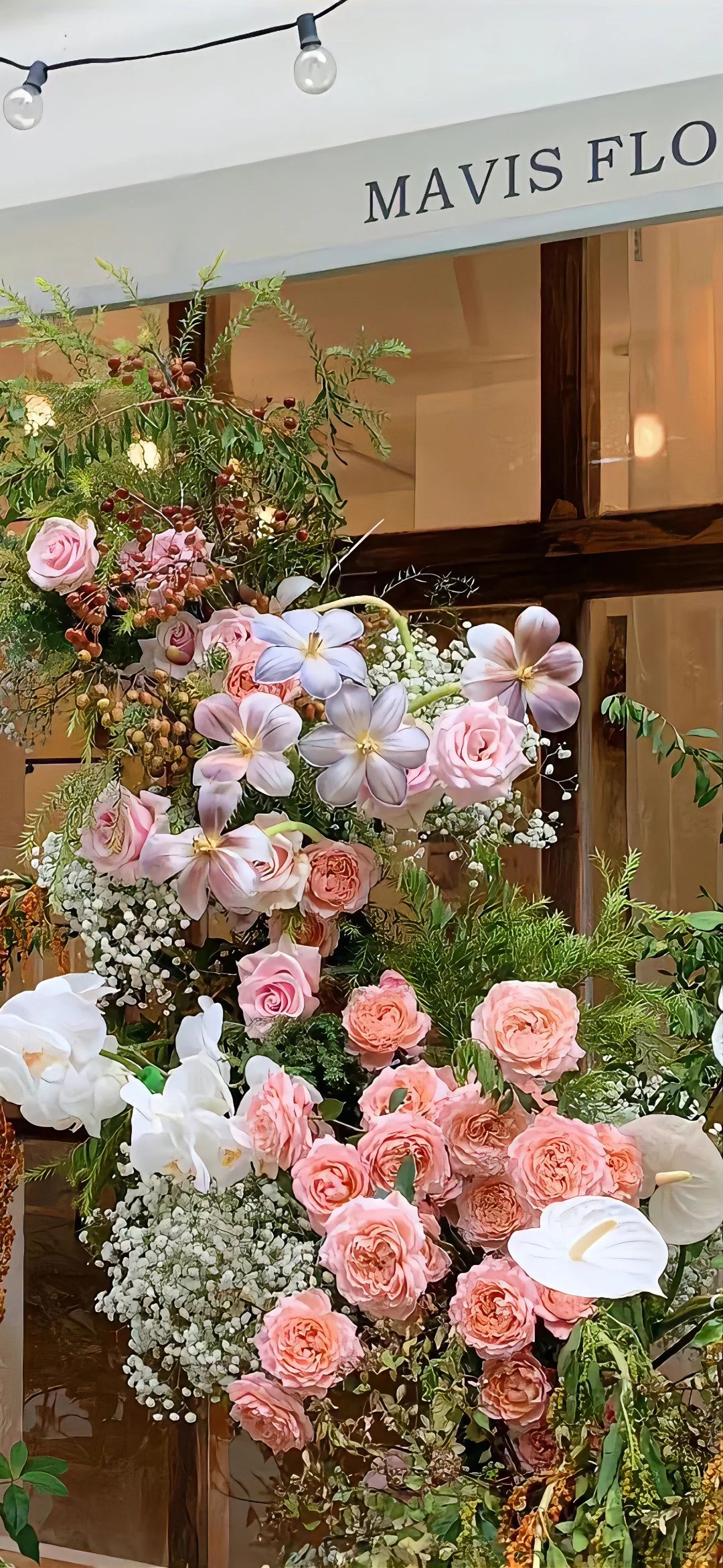 𝙎𝙝𝙖𝙧𝙚|高级感高清意境鲜花手机壁纸🪷
