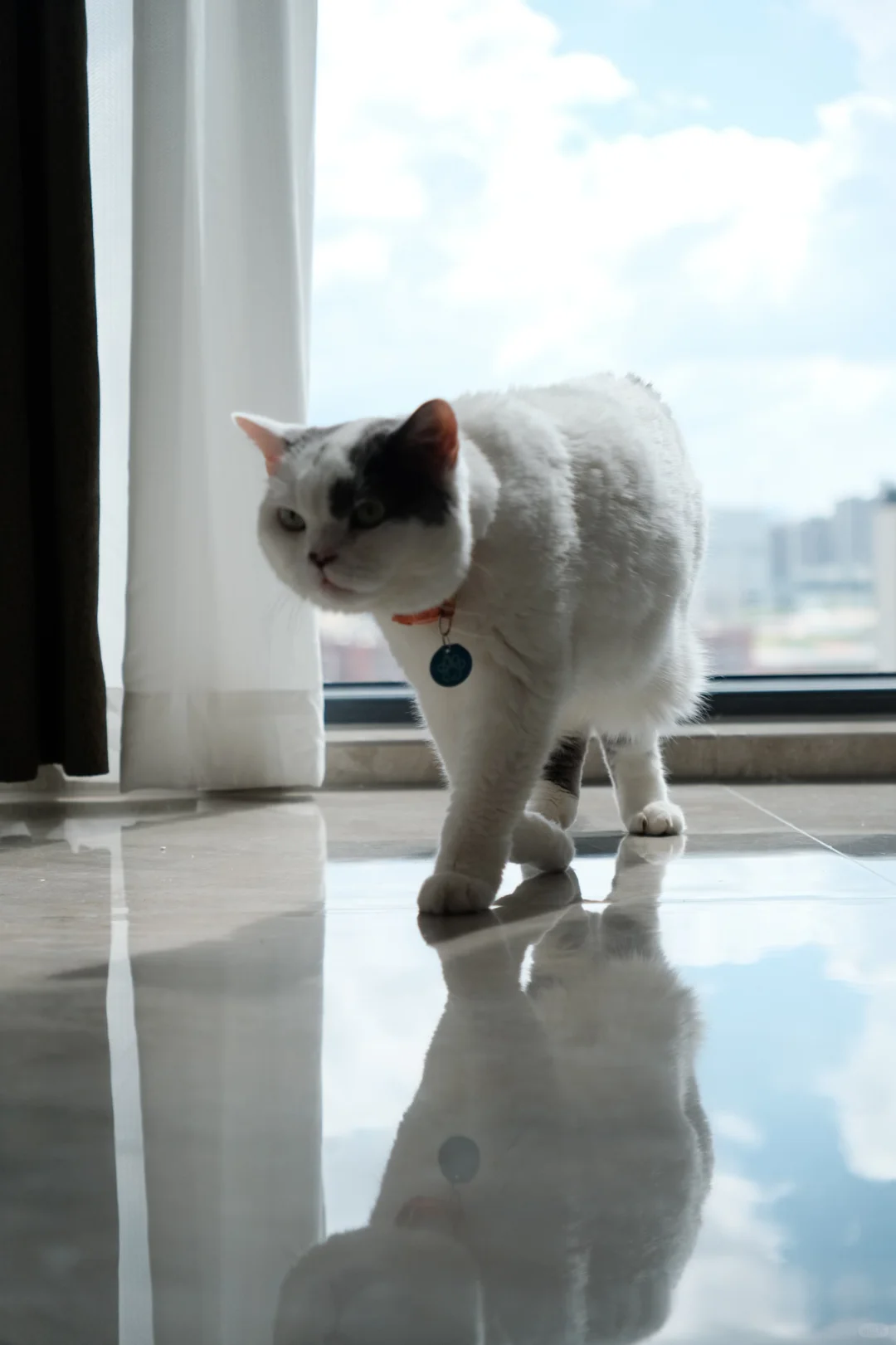 咪的写真集