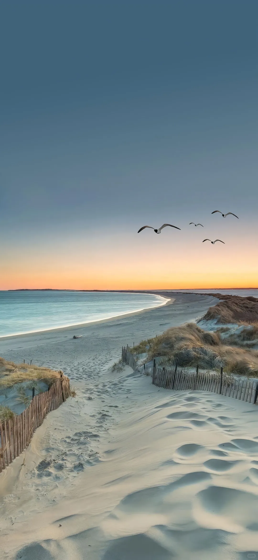 Date25/09/16 | 小众壁纸