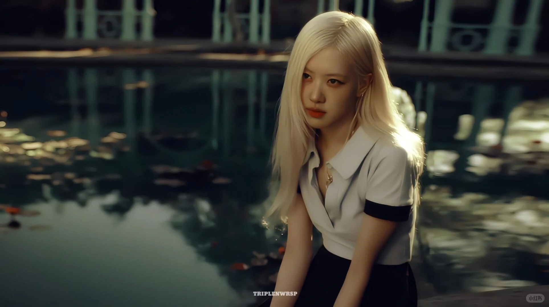 𝑺𝒉𝒂𝒓𝒆 | Rose iPad壁纸