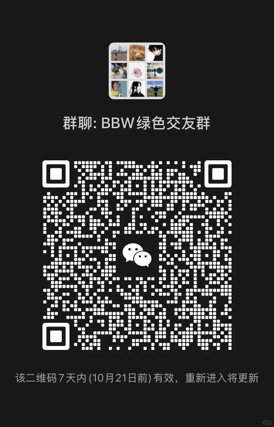 BBW群 一起来聊天💬呀
