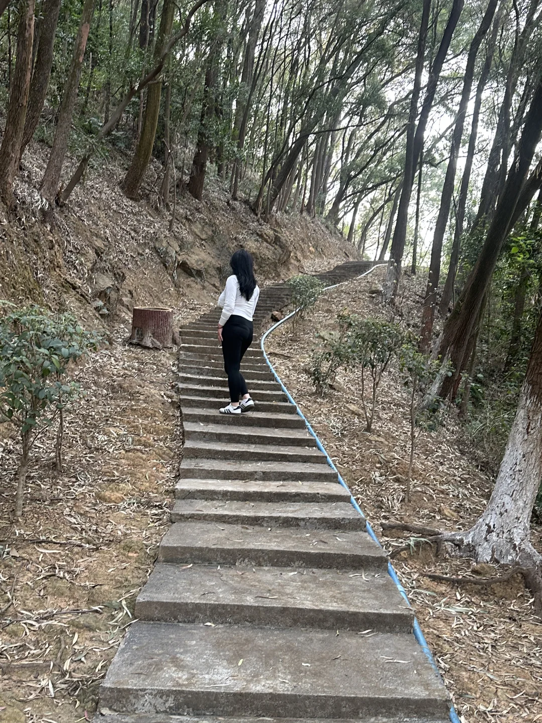 春天正是爬山减肥时