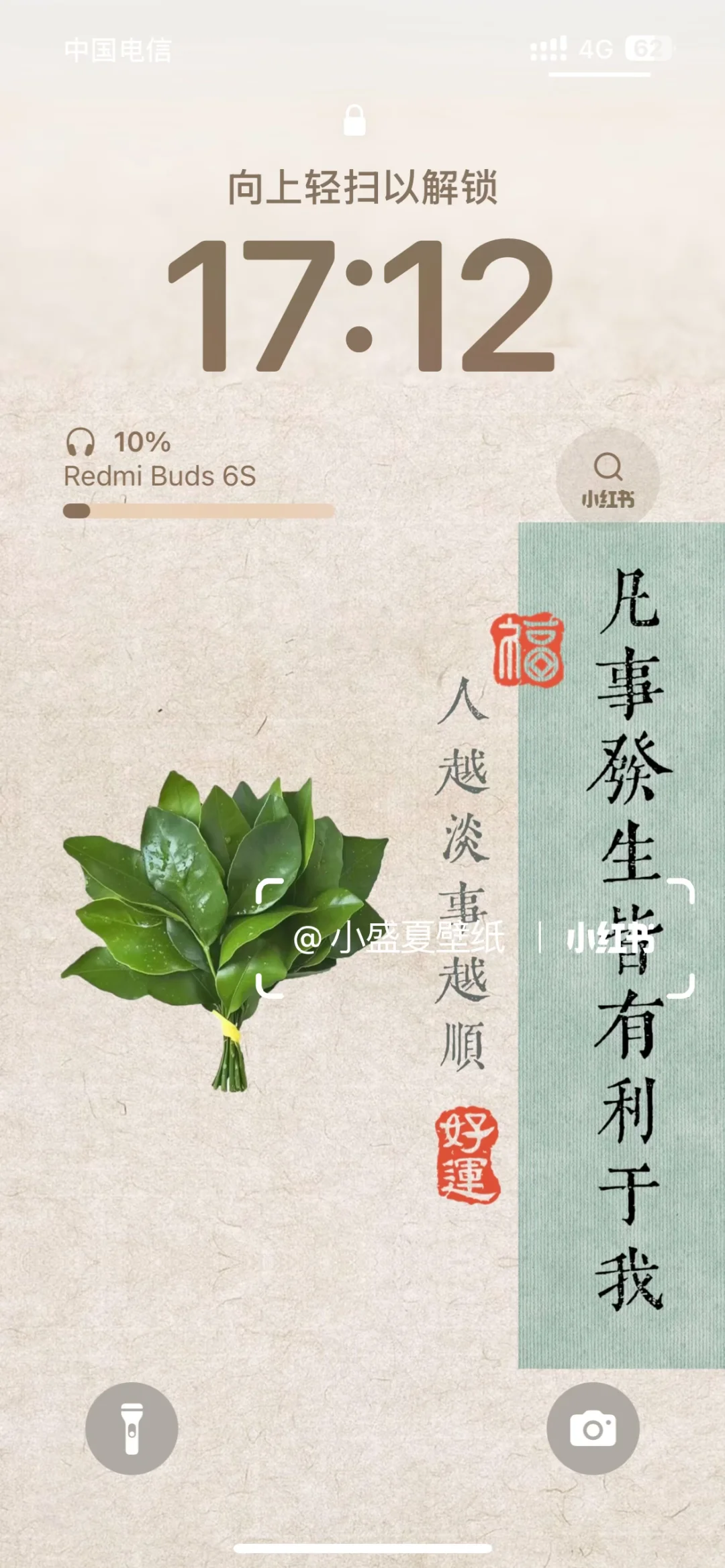 🌿柚子叶l手机壁纸