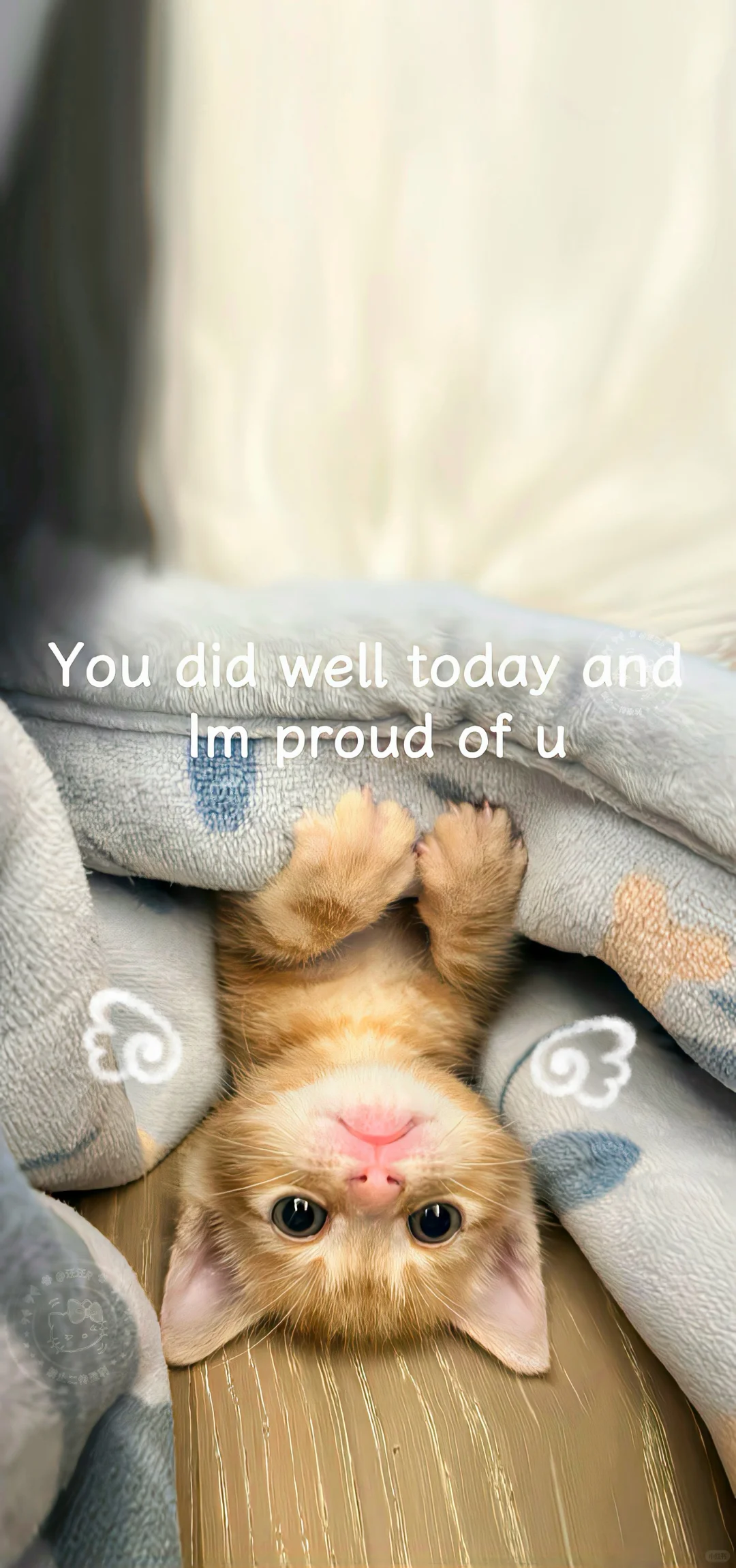 给自己做了个小猫壁纸