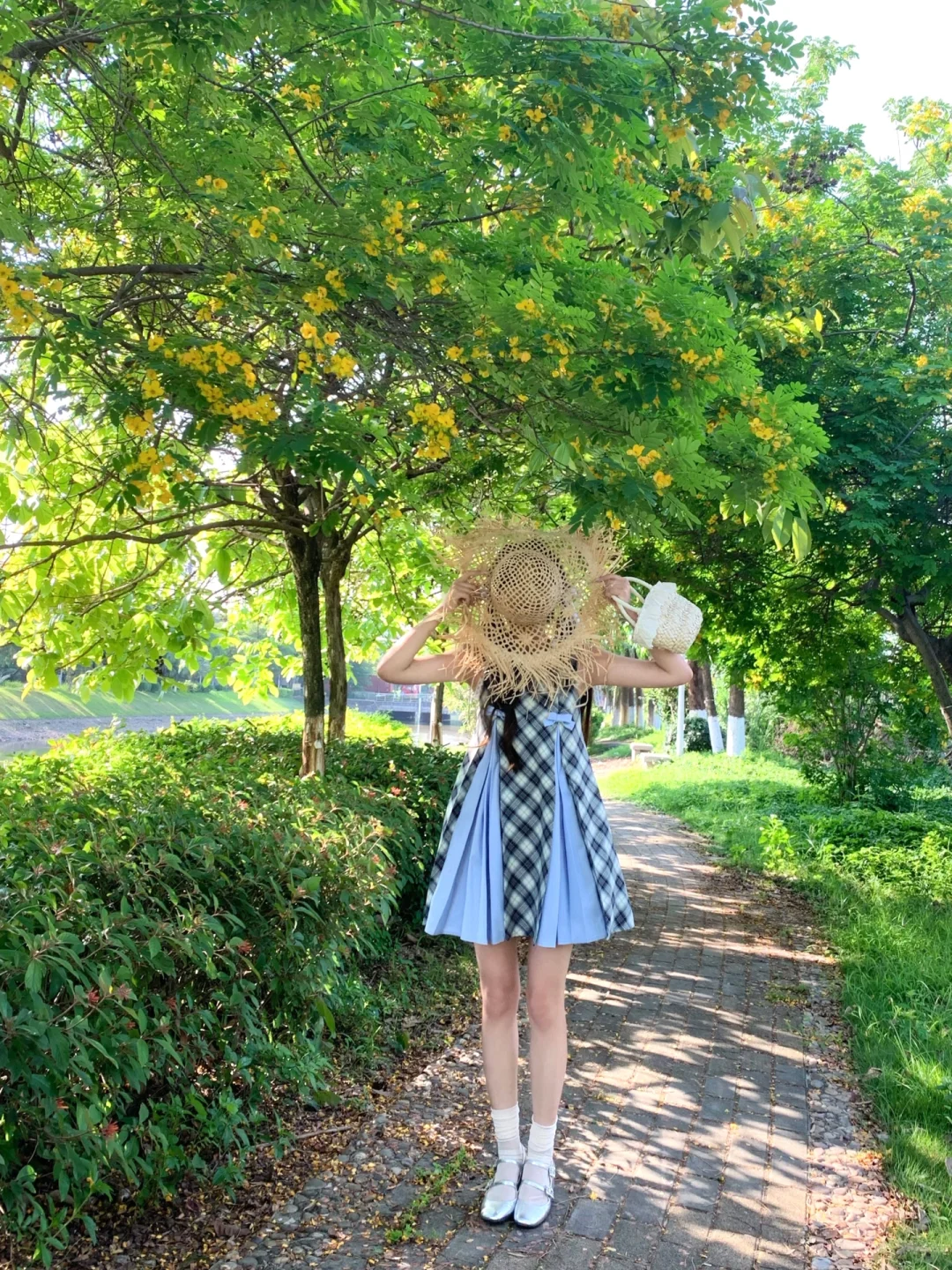 是蝉鸣不止的盛夏