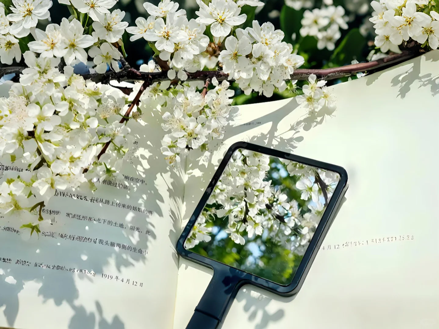 iPad·电脑壁纸｜💚治愈系壁纸来咯！