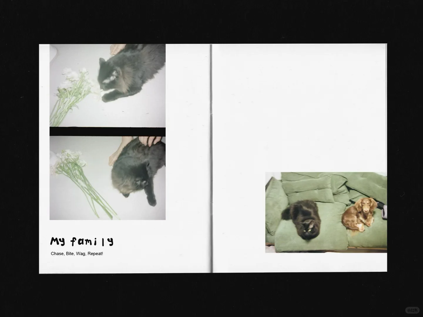 把2024年的胶片做成了zine