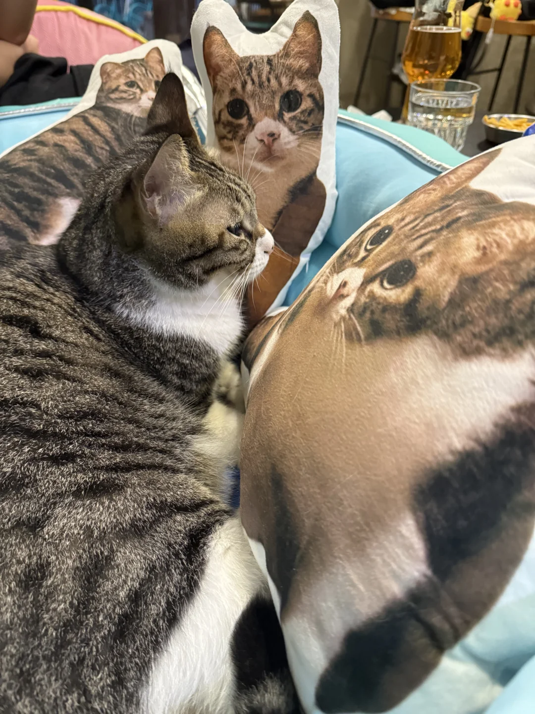 咪猪写真集