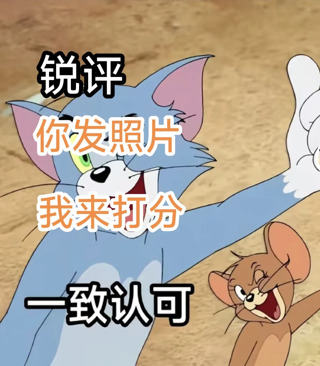 客观颜值打分（不人身攻击）