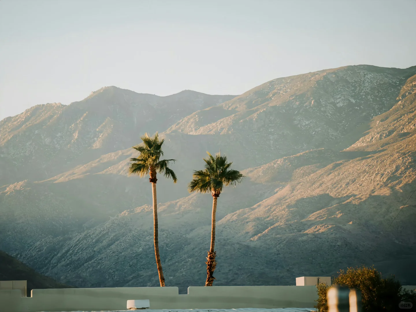 iPad电脑壁纸🌷