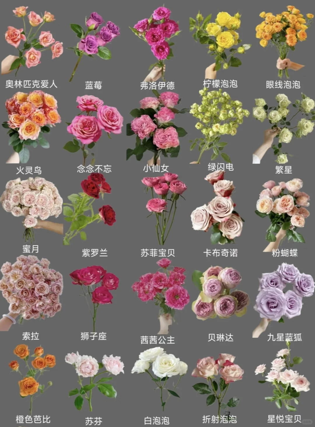 一键收藏！选花干货大公开，鲜花颜值飙升！