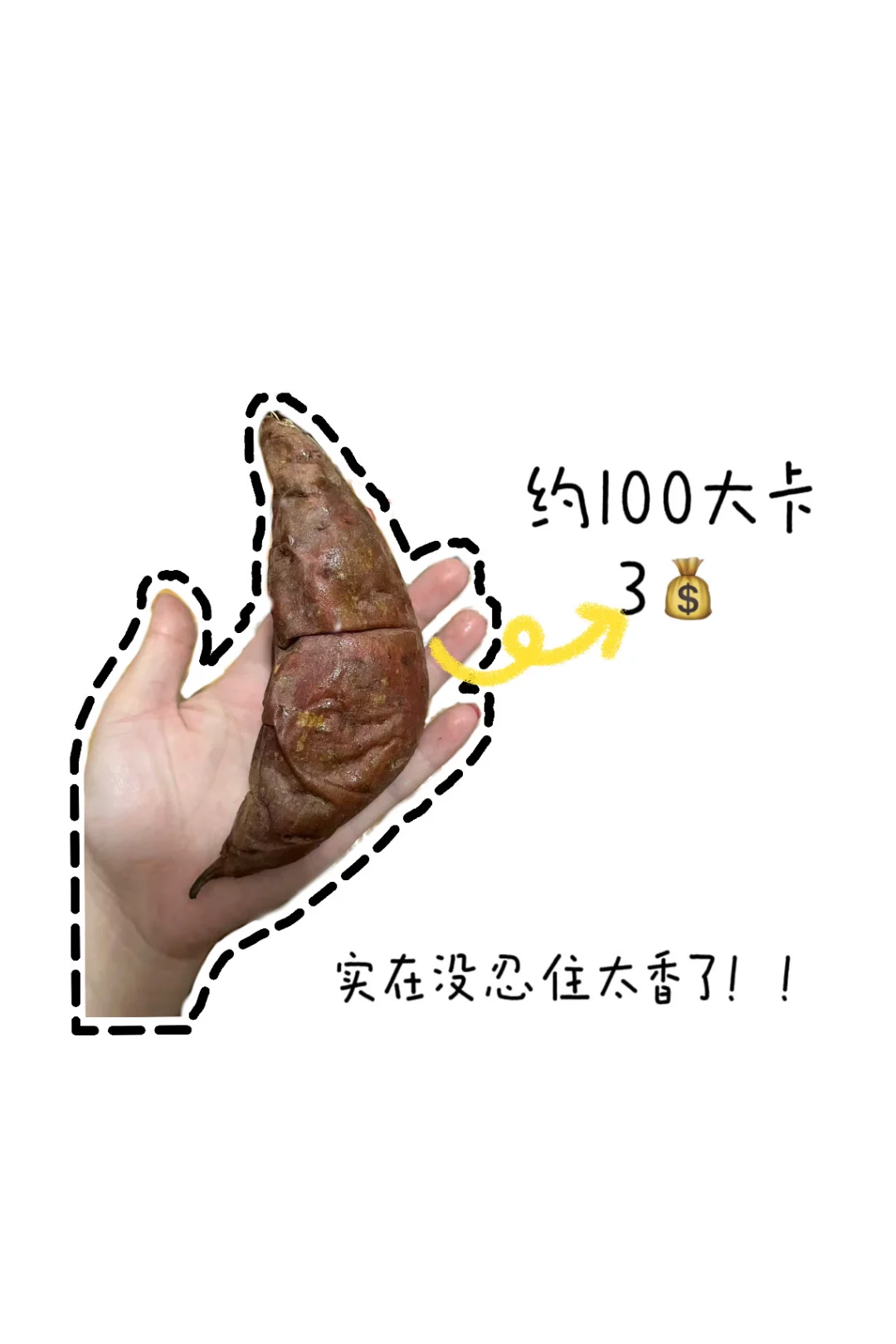 Day2|女大学生饮食减肥从120➡100要多久
