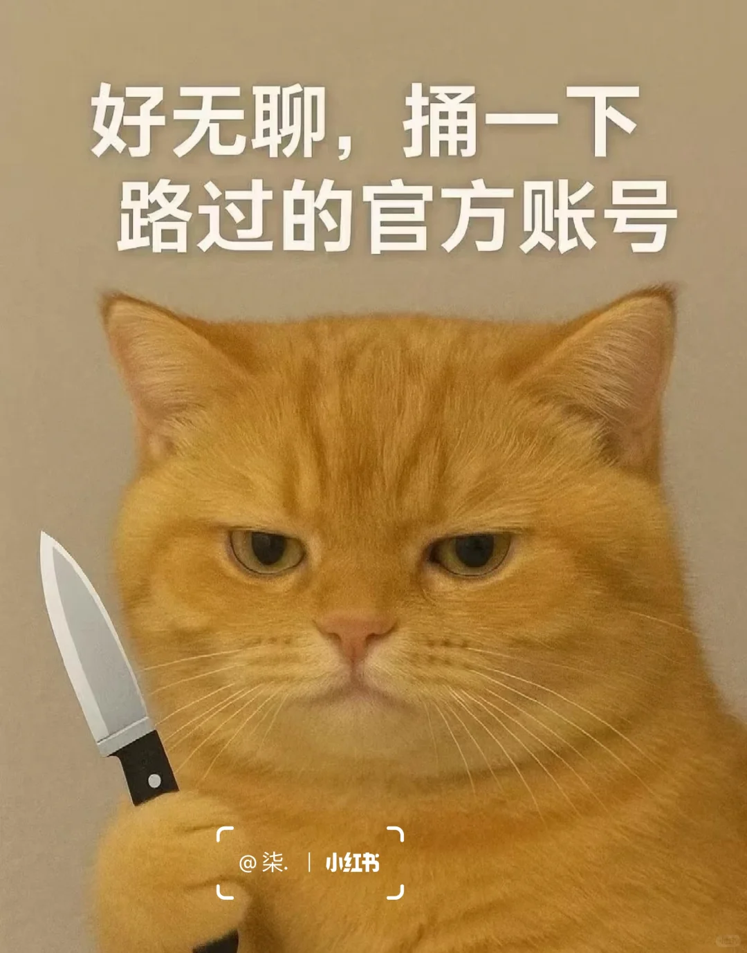 捅一下路过的官方账号