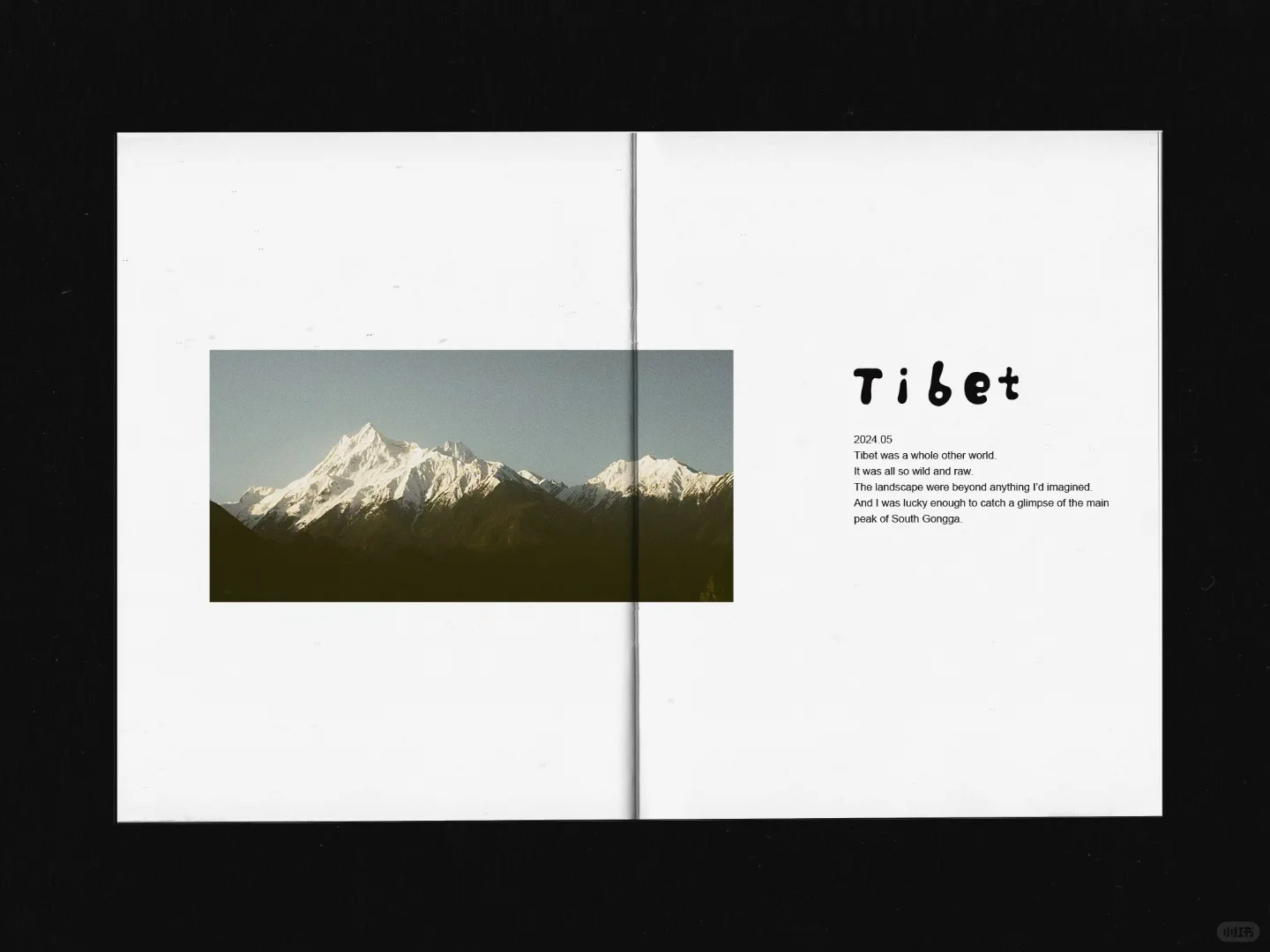 把2024年的胶片做成了zine