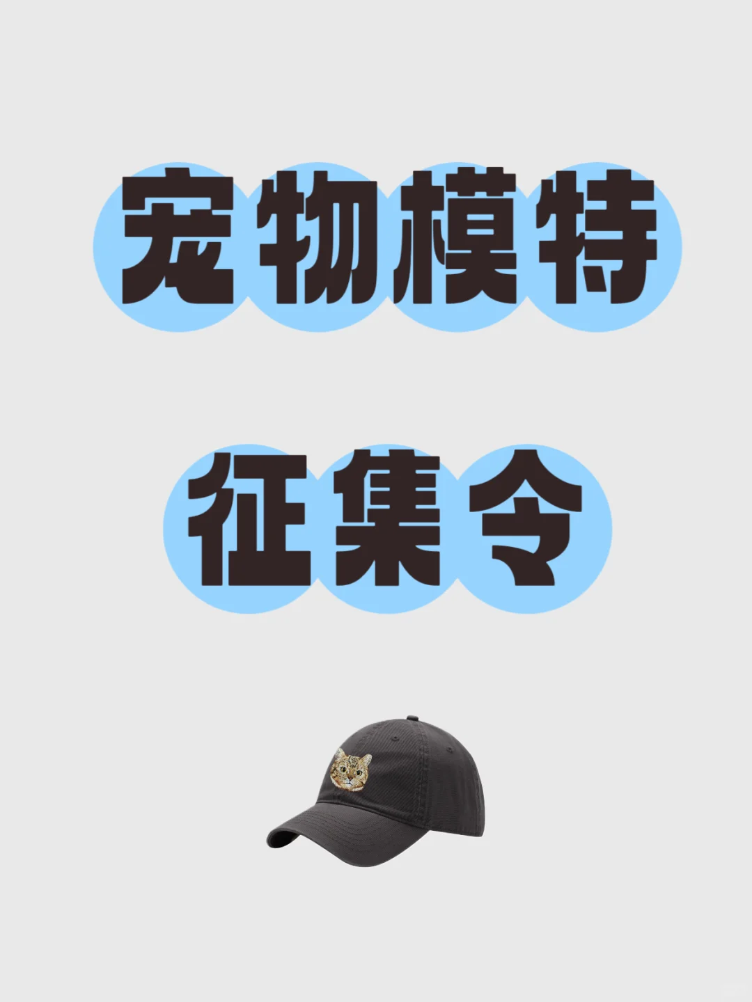 宠物模特召集啦，快把你的宠物发出来😜
