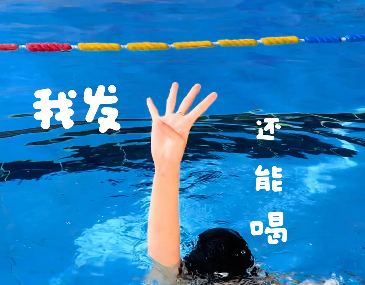 看看游泳人都拍了什么专属表情包📷