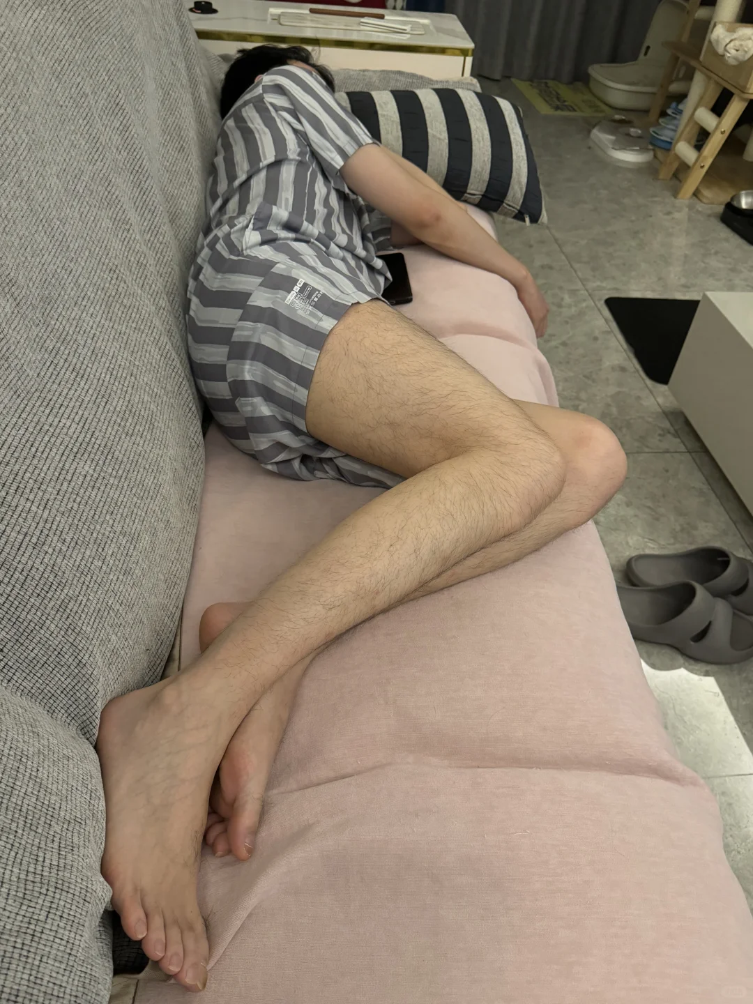 这是谁家的大毛长腿呀？