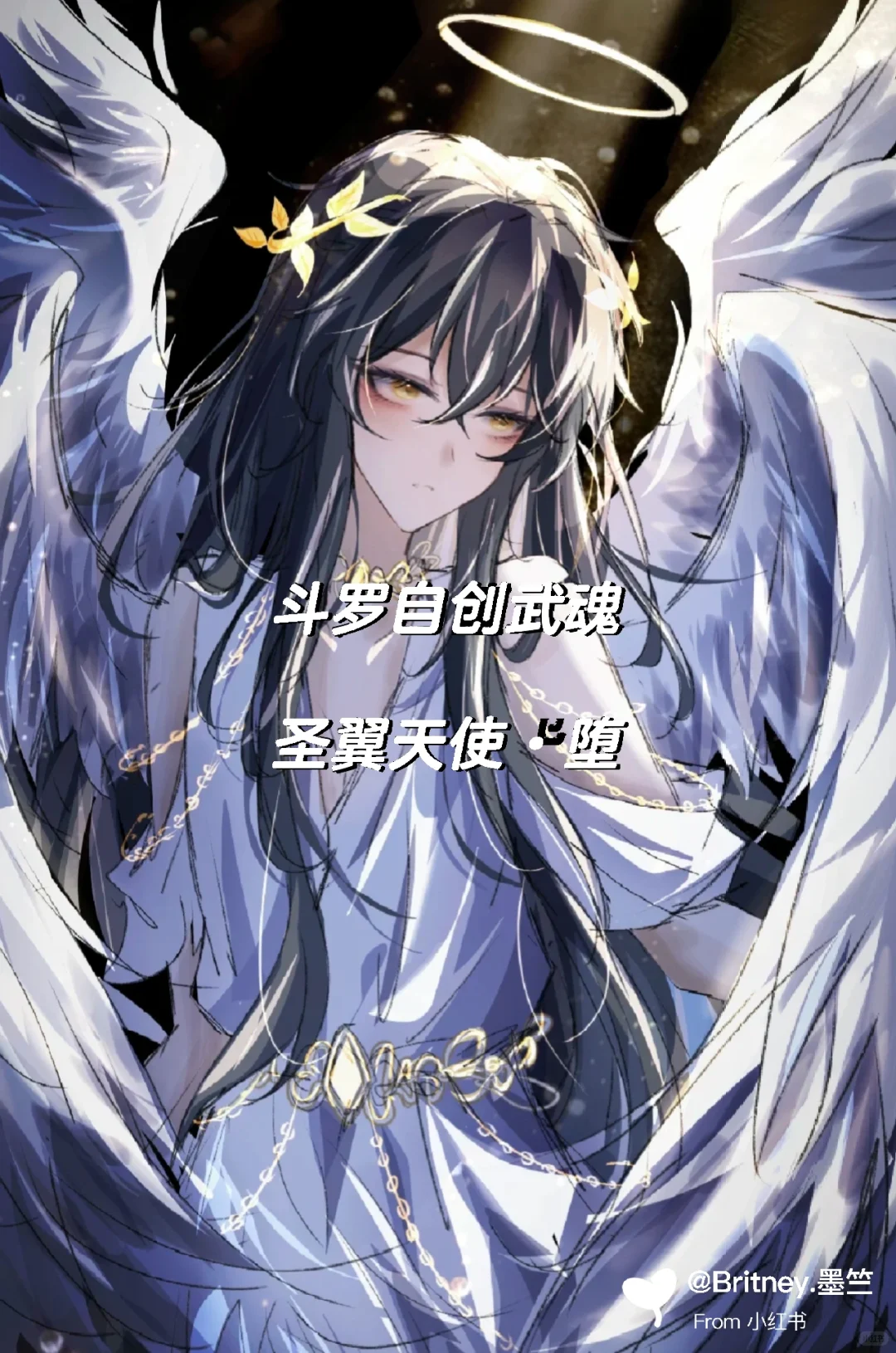 斗罗自创武魂36——圣翼天使·堕