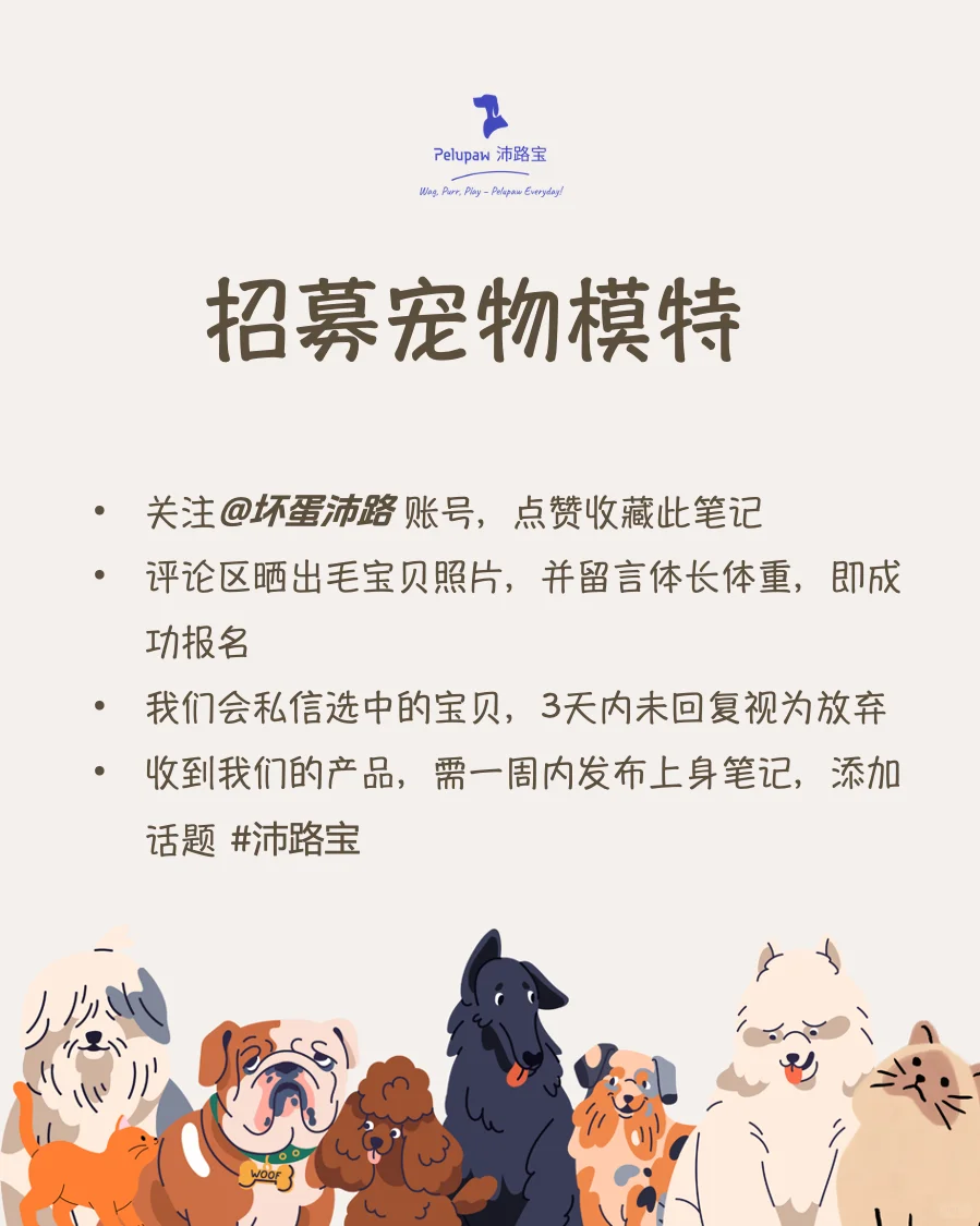 宠物模特招募
