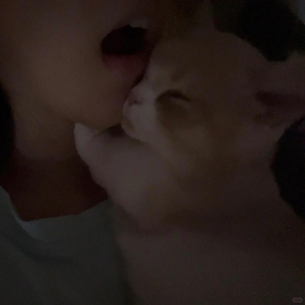 春天要来啦🌷