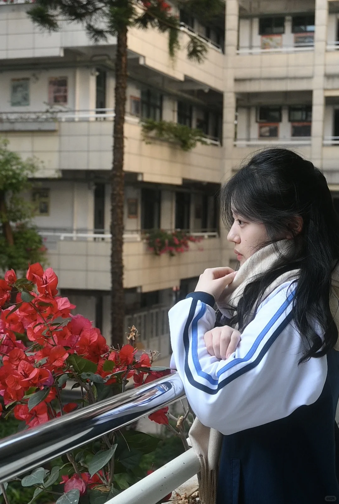 校园拍拍拍📷