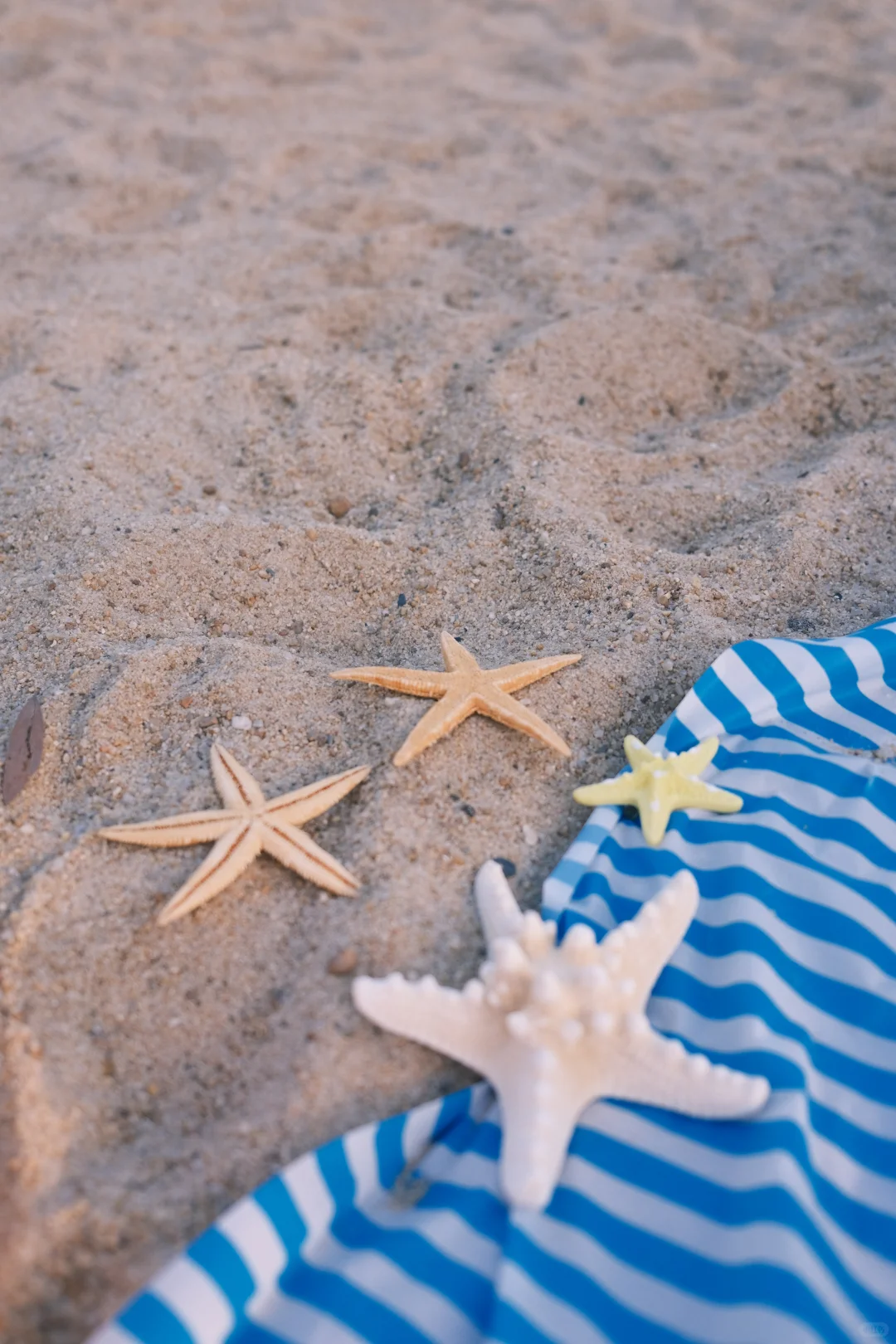 🔟个海边沙滩活人感拍照姿势!!国庆旅游拍!!