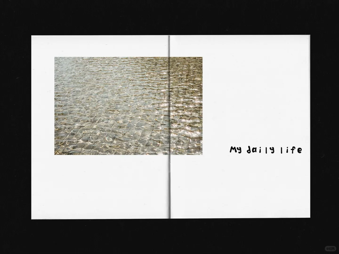 把2024年的胶片做成了zine