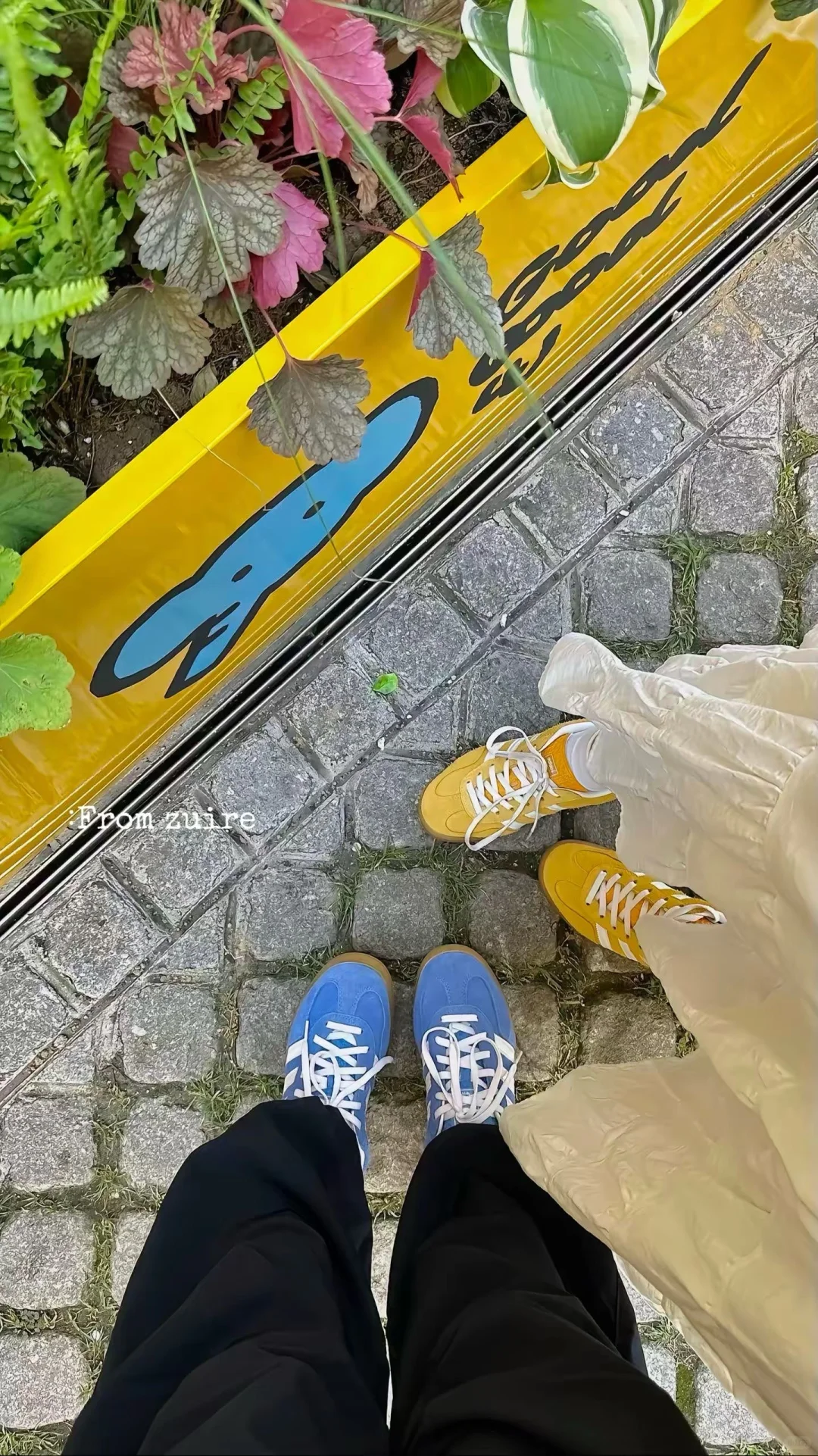 一个漂亮的姐姐
