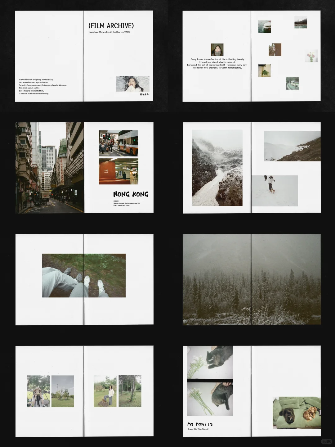 把2024年的胶片做成了zine