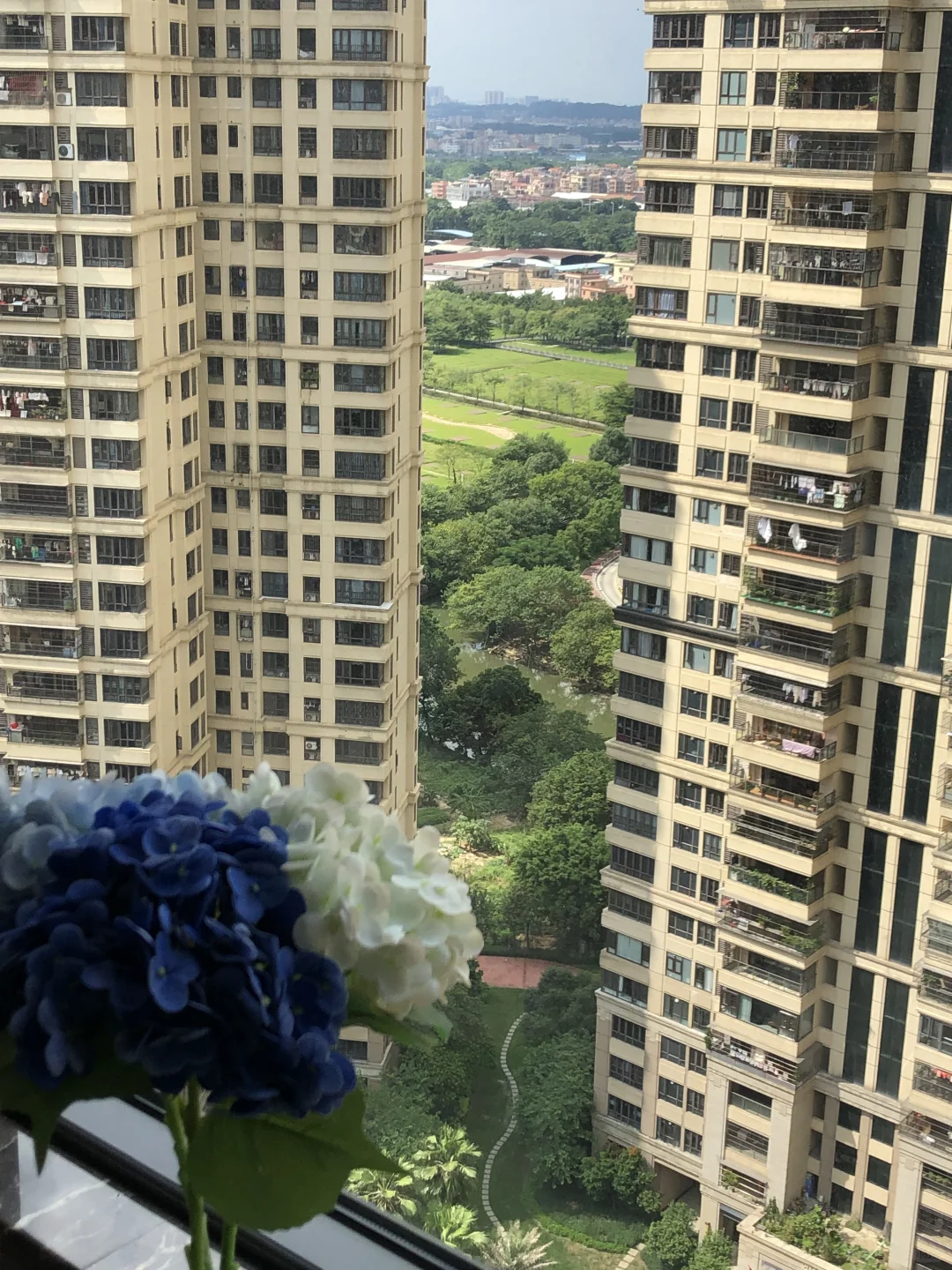 太热啦根本都不想出门