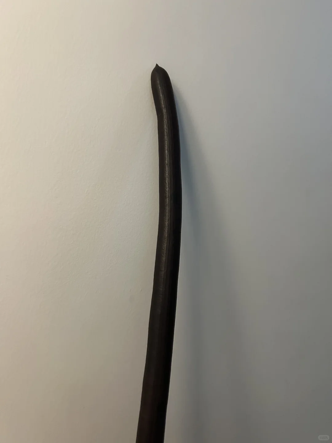 穿丝袜后酸味的具象化