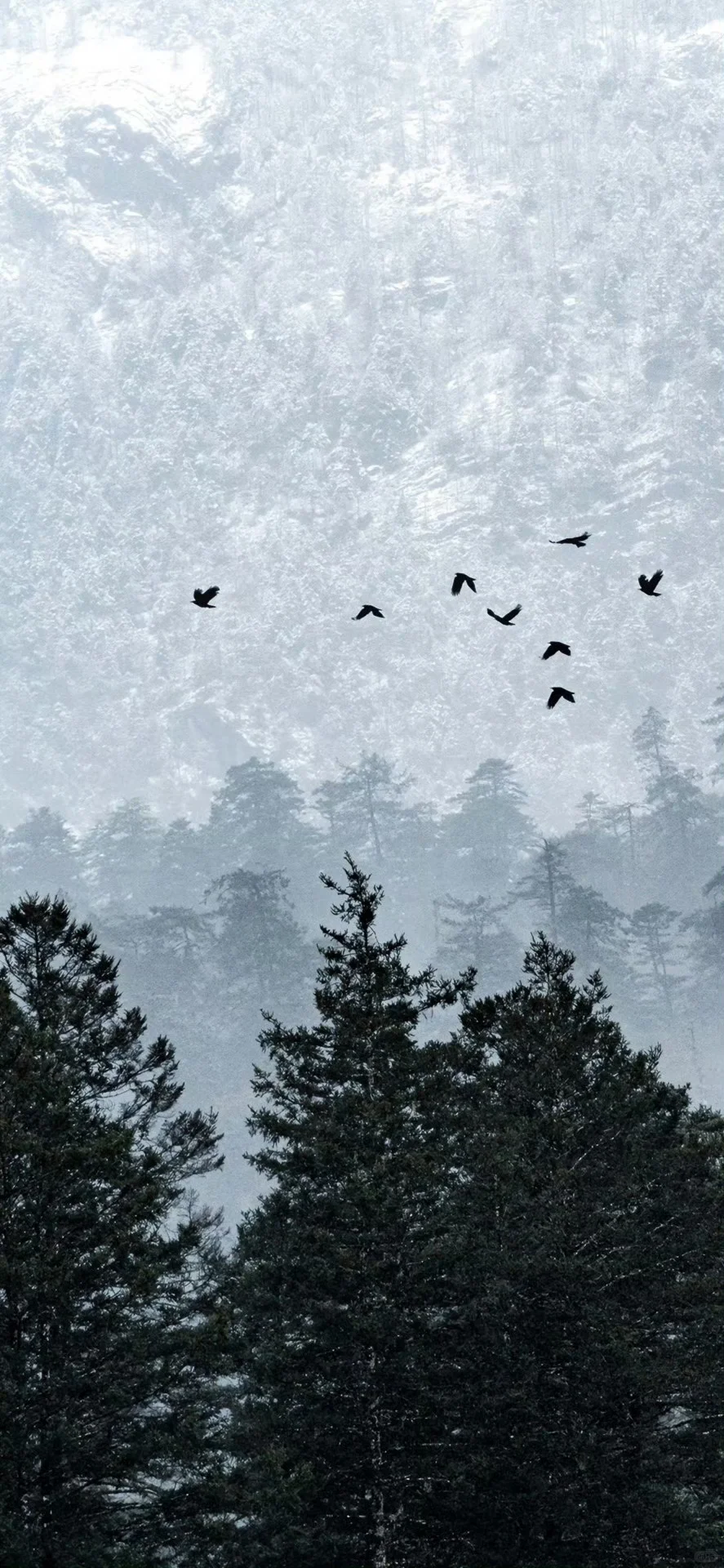 𝙎𝙝𝙖𝙧𝙚 适合下雪天用的壁纸❄️