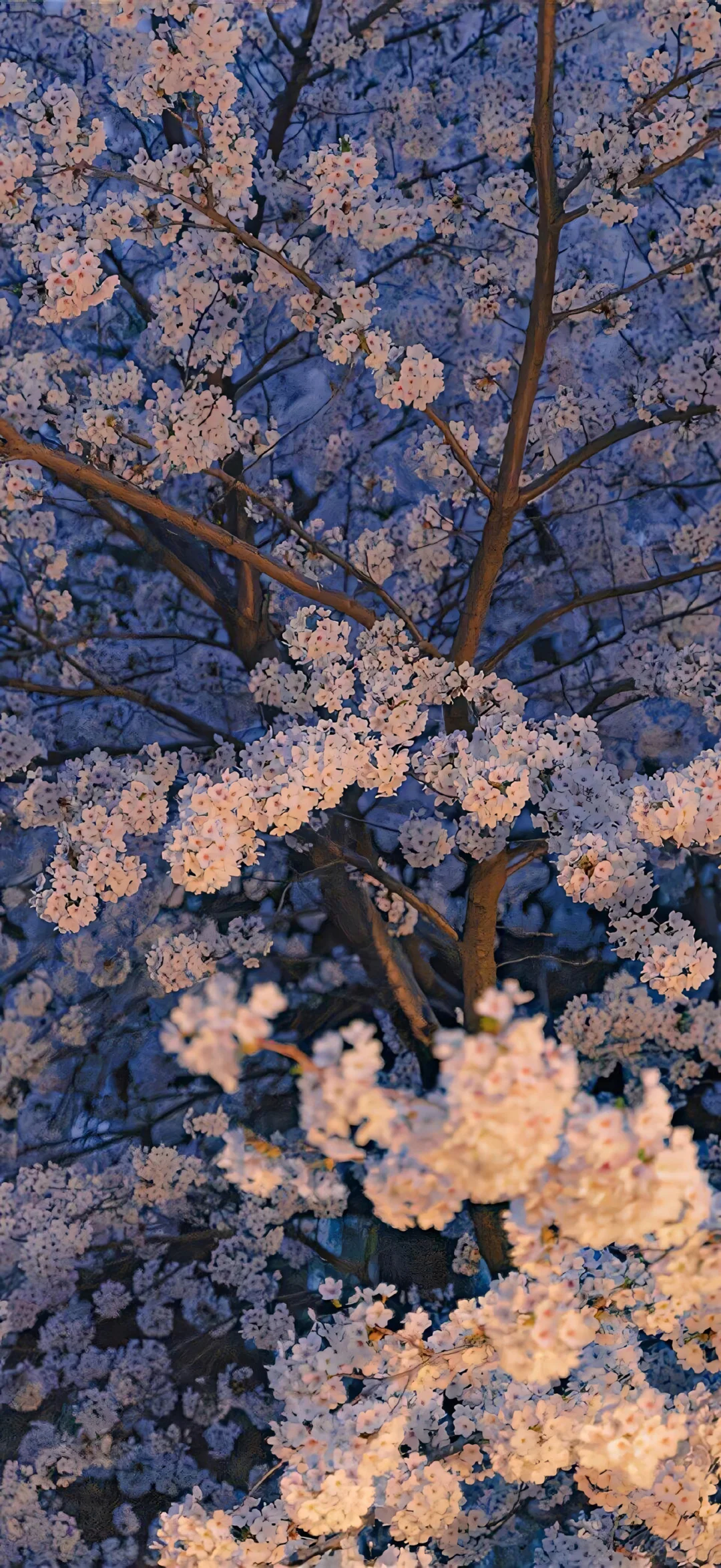 景深壁纸｜共18张