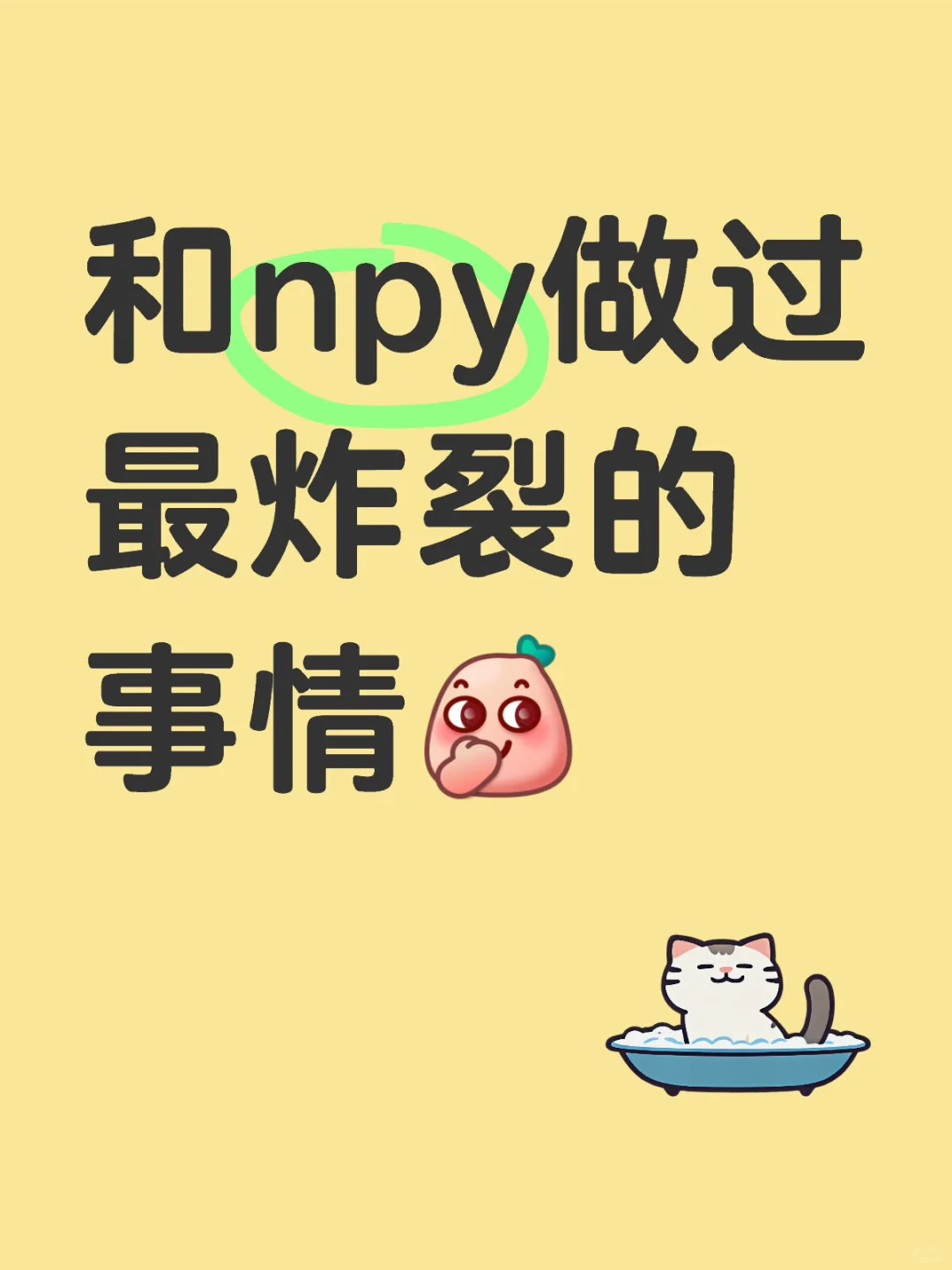 和npy 炸裂的事情