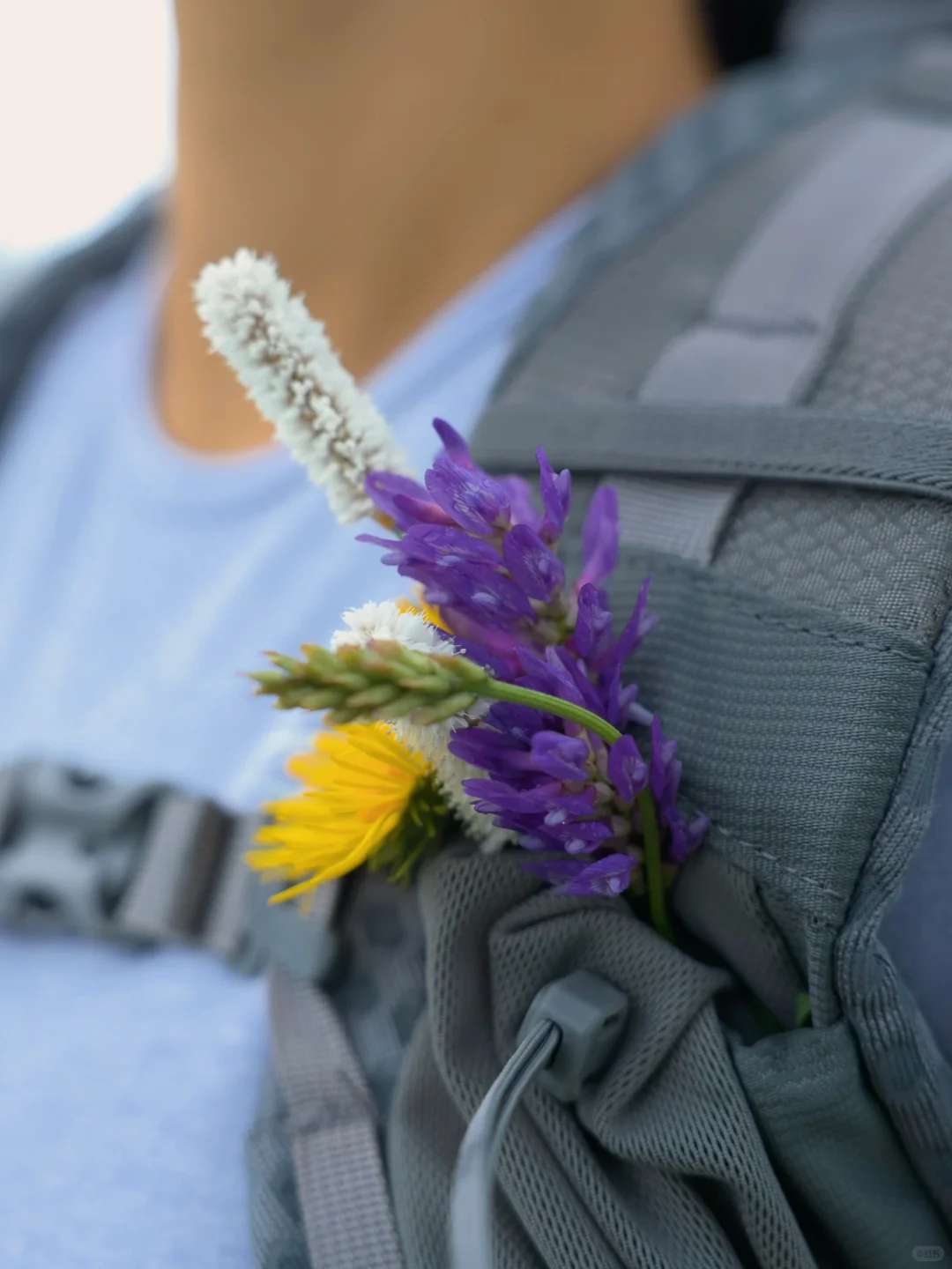 大自然给的快乐一抓一大把💐周五户外48小时