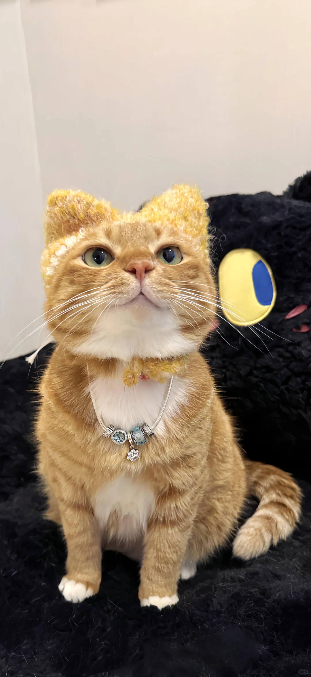 奈斯壁纸｜iOS26 3D空间壁纸 动物篇