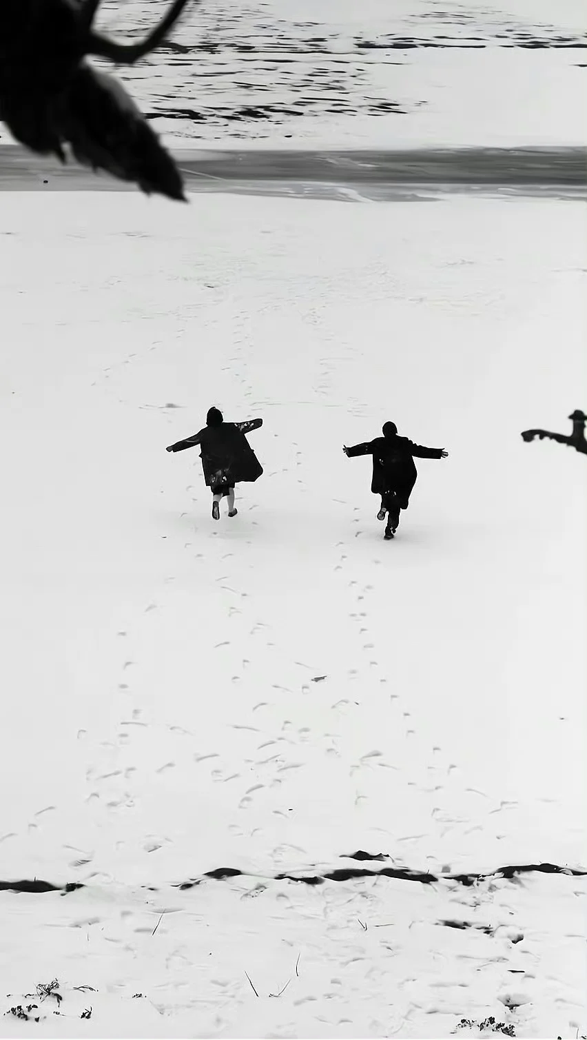 𝙎𝙝𝙖𝙧𝙚 适合下雪天用的壁纸❄️