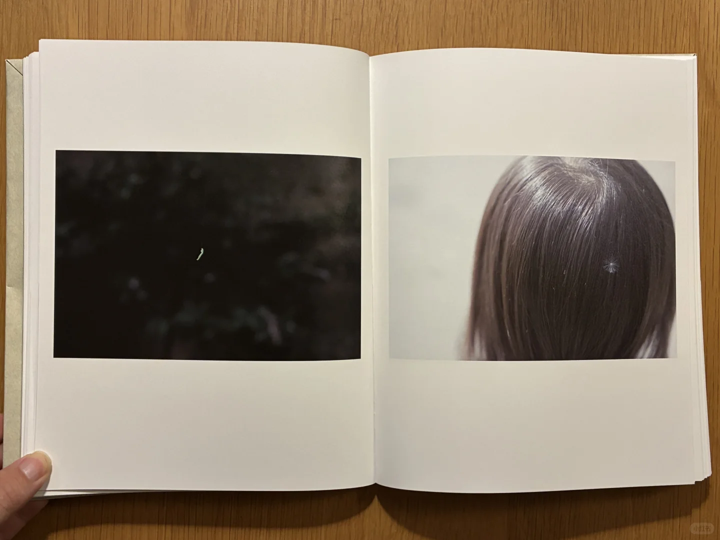 川内伦子 As It Is 很不错的一本写真集