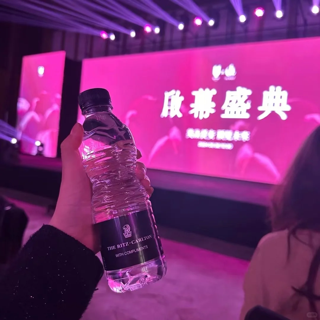 2025新世代福音美少女战士🎓🩰