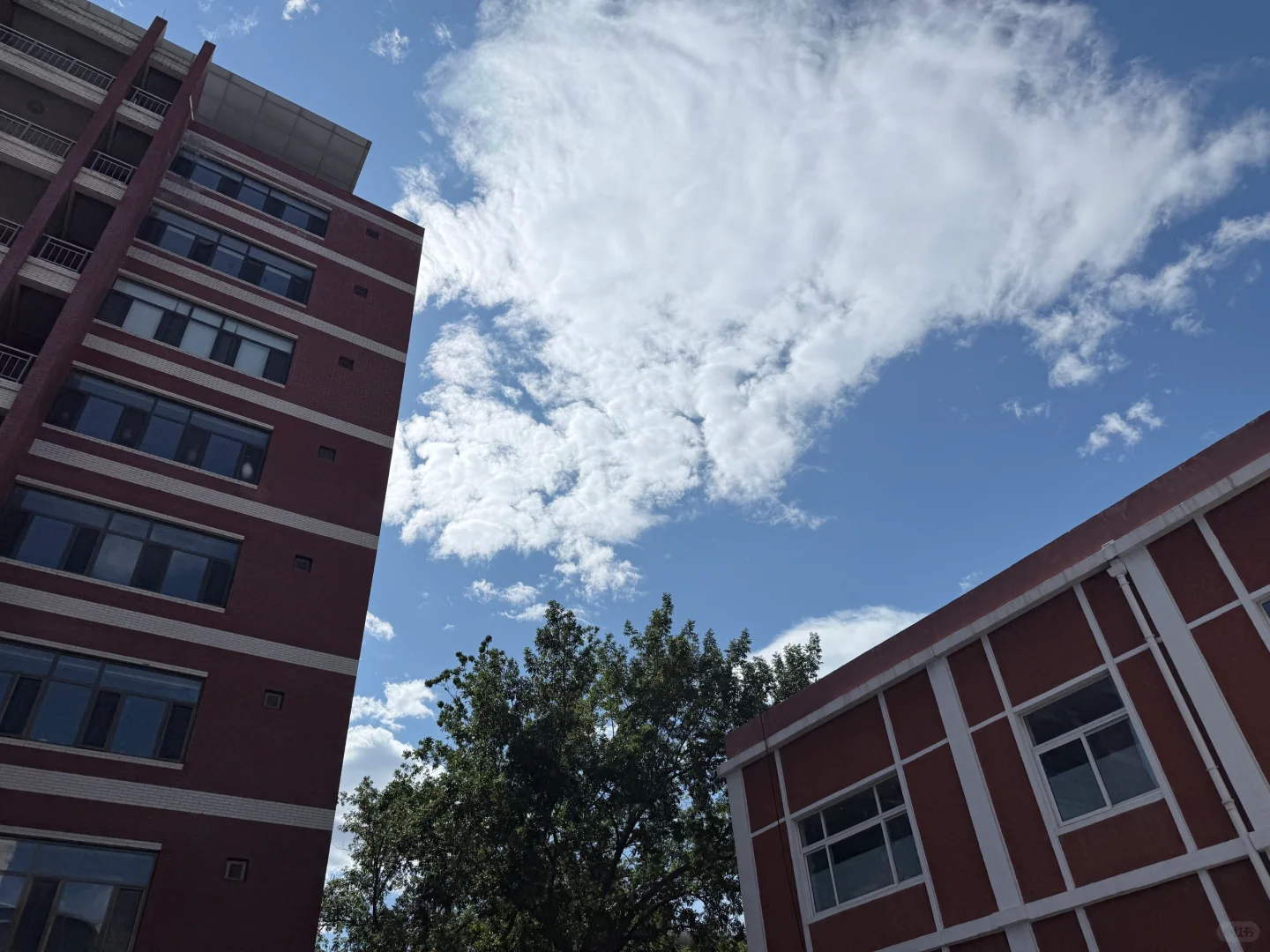 09 人大附中上学日记