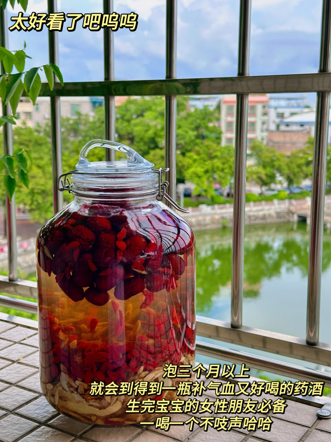 女性必备的药酒之一👍